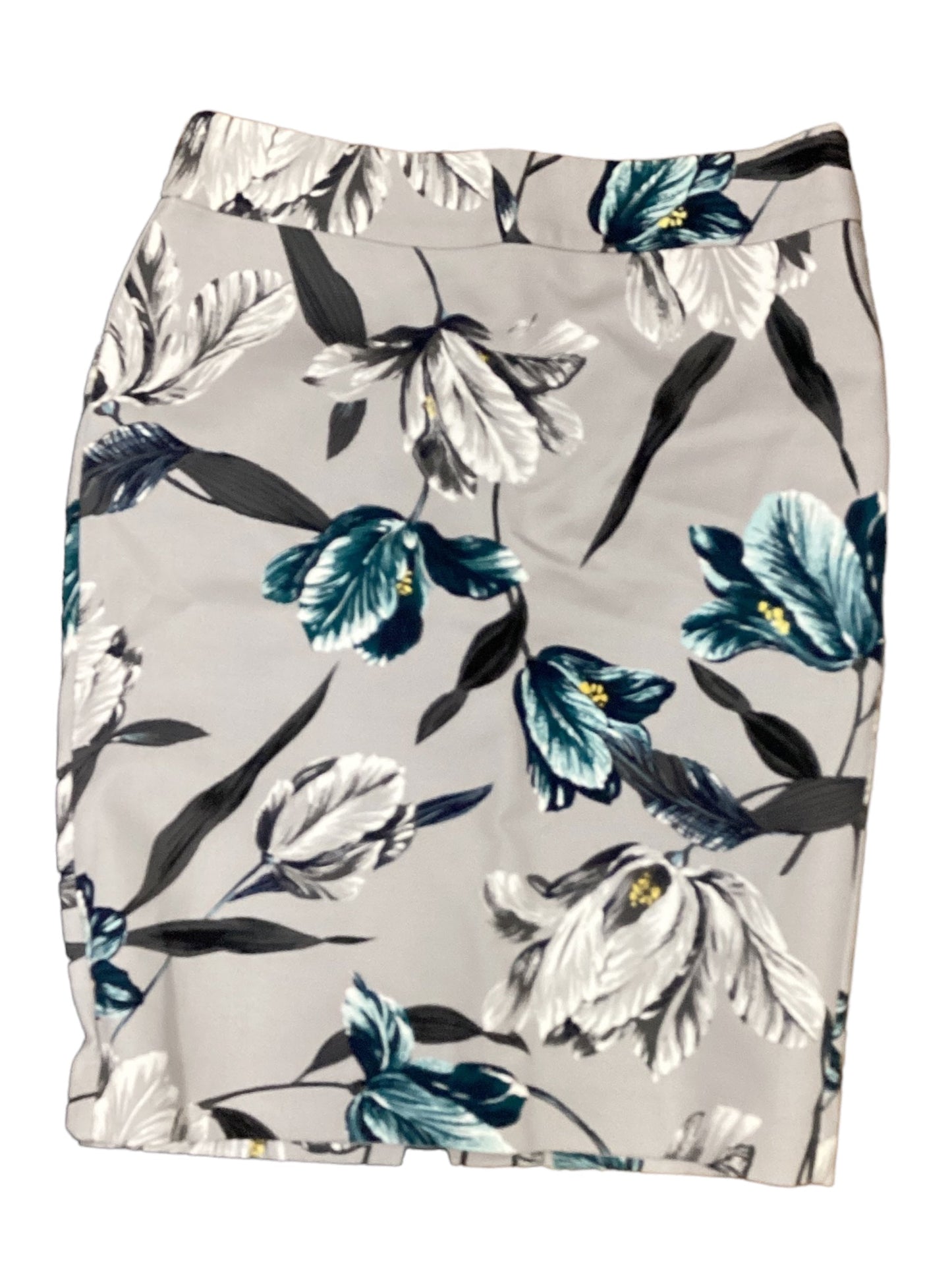 Skirt Midi By Ann Taylor Size: 2