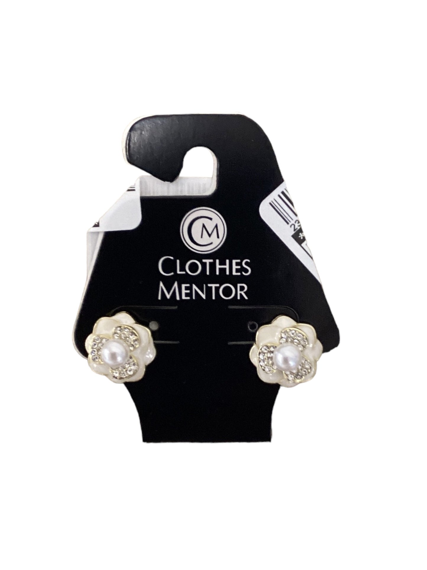 Earrings Other