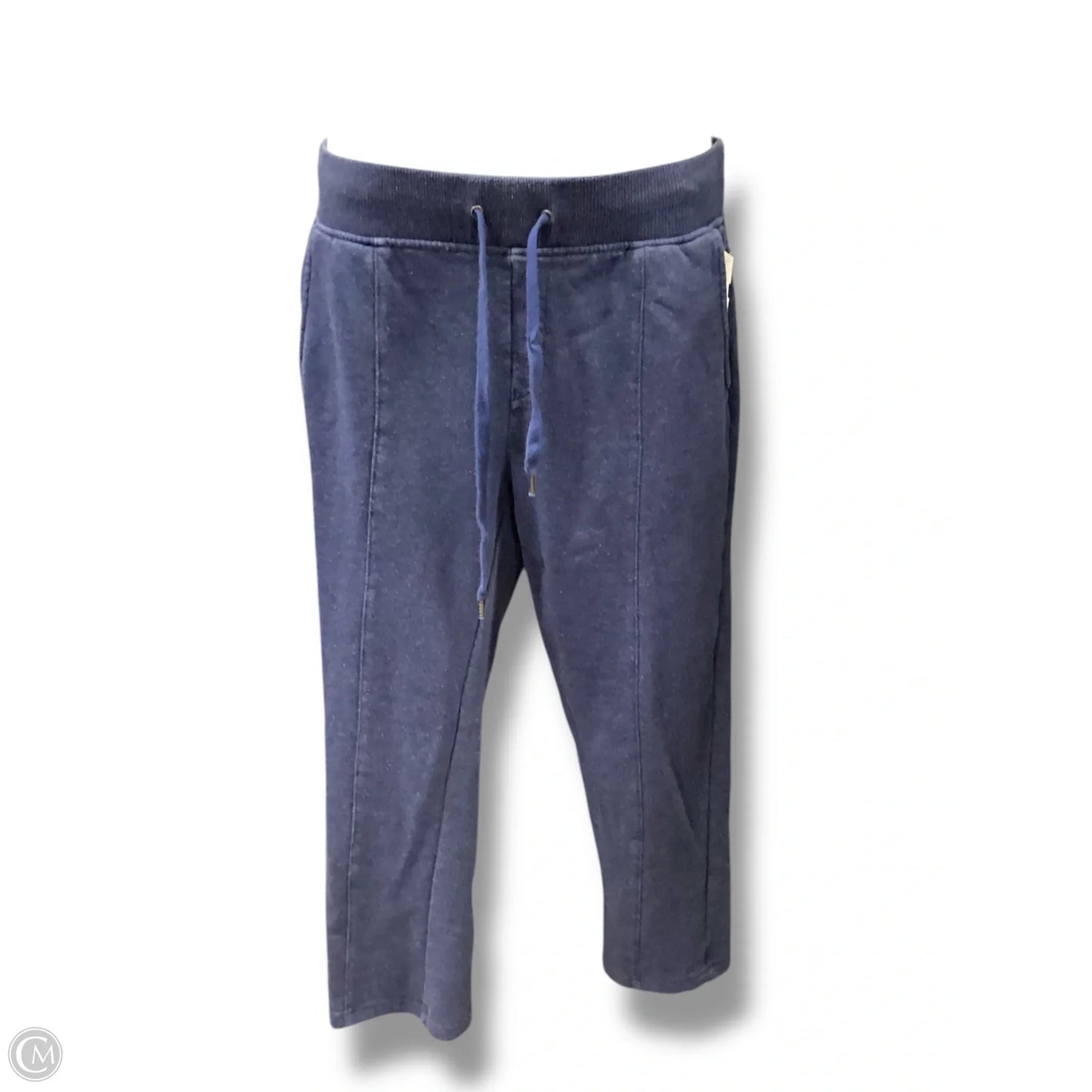 Athletic Pants By Chicos In Blue, Size: 0