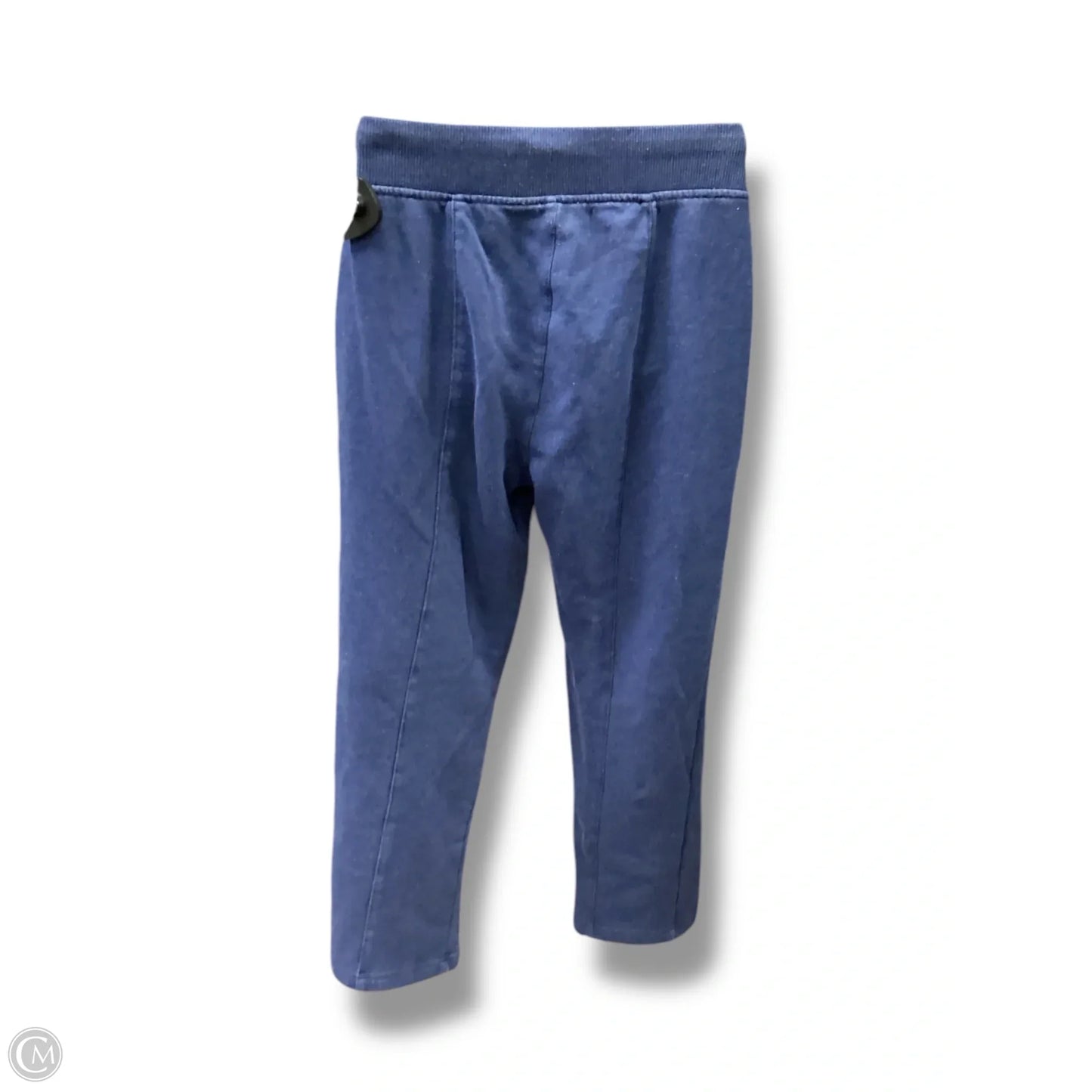 Athletic Pants By Chicos In Blue, Size: 0