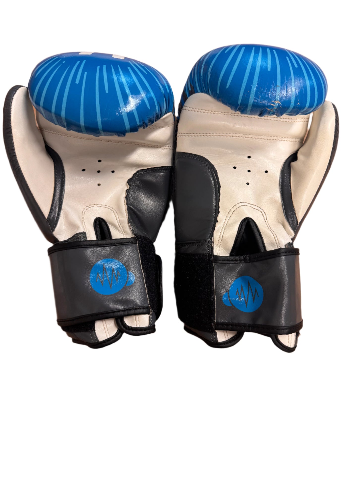 Demo Boxing Gloves - 12 oz - Used