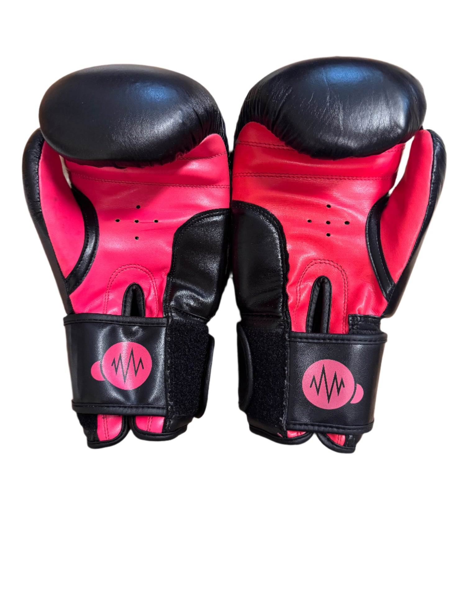 Demo Boxing Gloves - 12 oz - Used