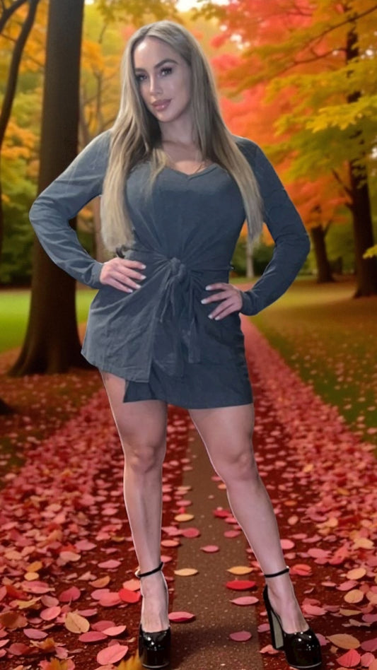 Socialite Tie Waist Dress, Size - Large - Grey - New with Tags