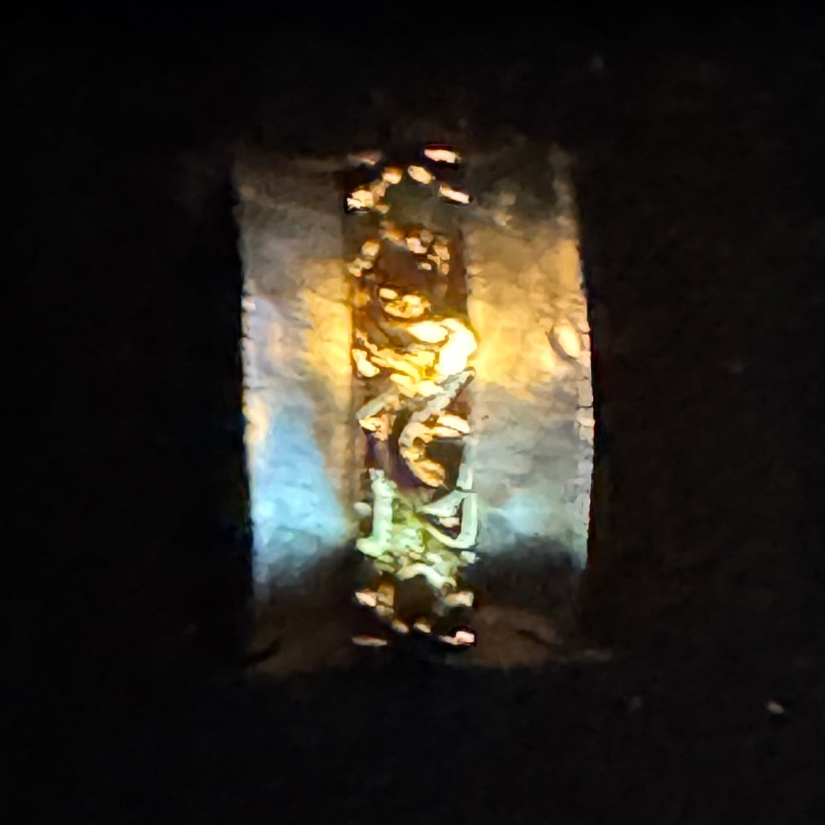 Two-Tone Flower Spinner Ring Size 5