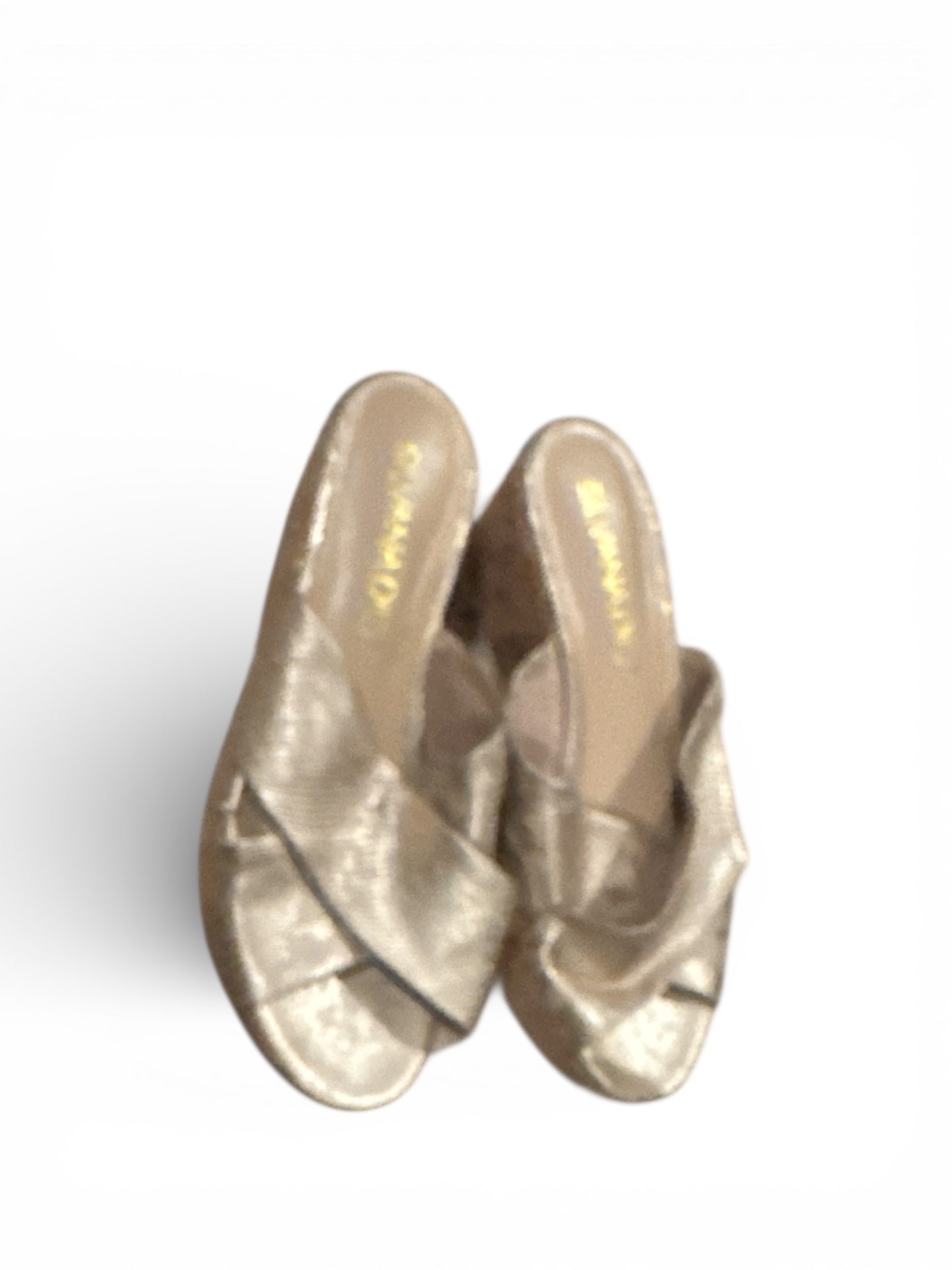 Shoes Heels Wedge  In Animal Print, Size:8.5